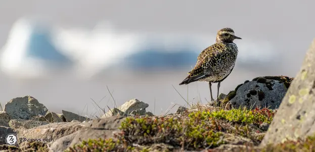 2021 07 07 16 11 10 D850421