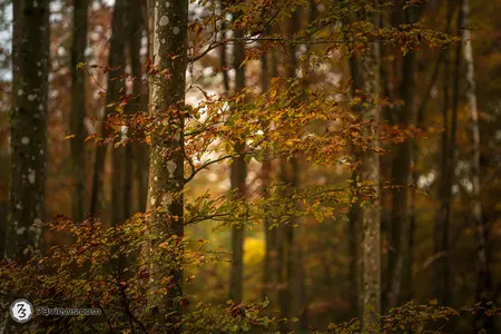 2021 10 30 12 38 56 D858621