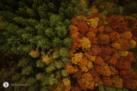 2021 10 30 15 23 46 DJI 0048