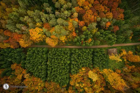 2021 10 30 15 52 41 DJI 0263