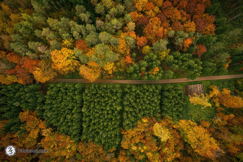 2021_10_30_15_52_41_DJI_0263.jpg