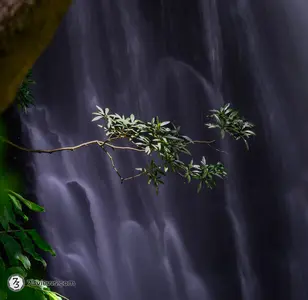 2023 07 22 12 29 49 Z8I3387-HDR