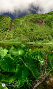 2023 08 03 16 26 15 Z8I5695-Pano