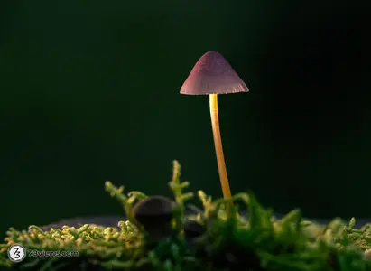 2023 10 22 16 38 12 Z8I 7015