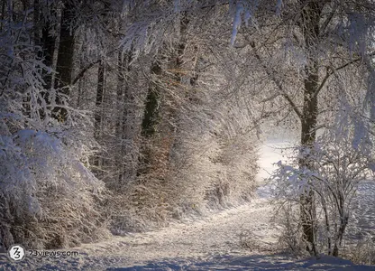 Schnee