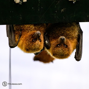 2025 11 02 11 41 32 Z8I 2153