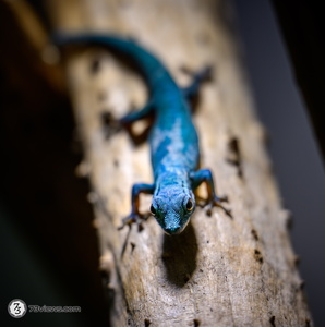 2025 11 02 14 12 01 Z8I 2409