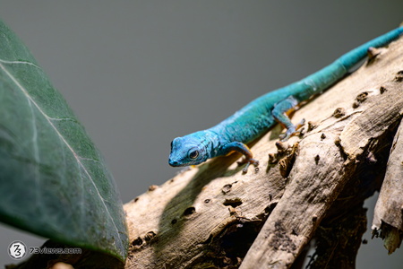 2025 11 02 14 13 18 Z8I 2423