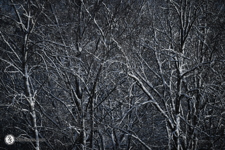 2026 01 11 16 52 40 Z8I 3691