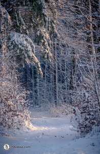 2026 01 11 17 04 52 Z8I 3741