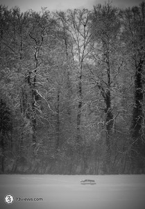 2026 01 11 17 43 36 Z8I 3810