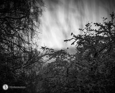 2026 01 11 17 44 57 Z8I 3819