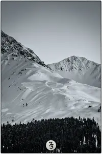 D851314-Edit