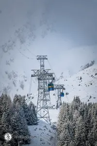 D851758 2022 12 27