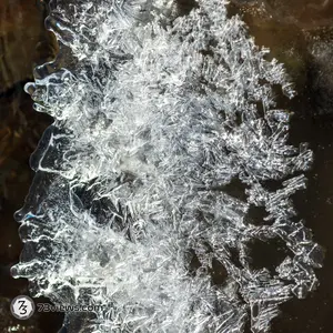 D851789 2022 12 28