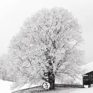 D853344-Pano-Edit