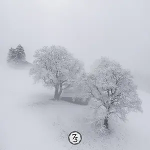 DJI 0232-HDR