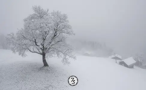 DJI 0243-HDR
