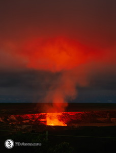 DSC 4600