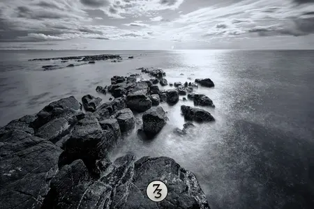 D854641-Edit