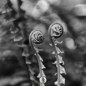 D854970-Edit