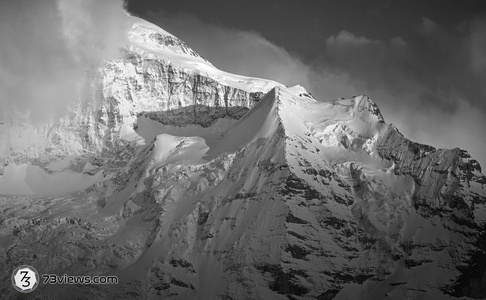 Z8I 001020250420201605-2