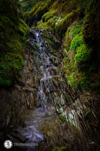 Z8I 004420250421141240