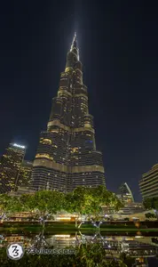Z8I 006520241006174105